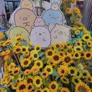 ヒメ日記 2025/07/19 12:06 投稿 えま clubさくら梅田店