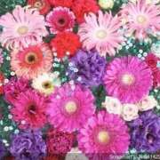 ヒメ日記 2025/12/08 19:15 投稿 えま clubさくら梅田店