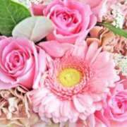 ヒメ日記 2026/03/28 15:55 投稿 えま clubさくら梅田店