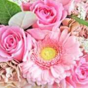 ヒメ日記 2026/04/03 09:25 投稿 えま clubさくら梅田店