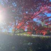 ヒメ日記 2025/12/08 15:53 投稿 まひる★人妻KISS★ 人妻kiss