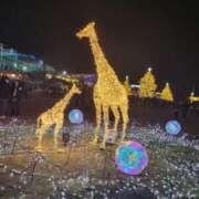 ヒメ日記 2024/12/28 14:45 投稿 えま 奥様さくら梅田店