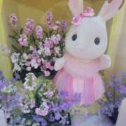 ヒメ日記 2025/03/25 16:25 投稿 えま 奥様さくら梅田店