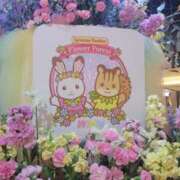 ヒメ日記 2025/04/02 19:25 投稿 えま 奥様さくら梅田店