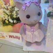 ヒメ日記 2025/04/13 08:05 投稿 えま 奥様さくら梅田店