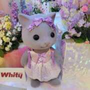 ヒメ日記 2025/06/19 22:10 投稿 えま 奥様さくら梅田店