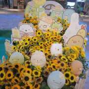 ヒメ日記 2025/07/19 16:45 投稿 えま 奥様さくら梅田店