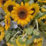 ヒメ日記 2025/08/18 21:25 投稿 えま 奥様さくら梅田店