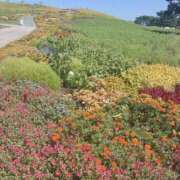 ヒメ日記 2025/09/06 12:51 投稿 キキ 水戸角海老