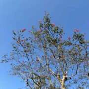 ヒメ日記 2025/09/28 19:21 投稿 キキ 水戸角海老