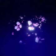 ヒメ日記 2025/10/29 16:41 投稿 キキ 水戸角海老