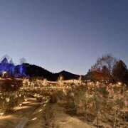 ヒメ日記 2025/12/05 06:31 投稿 キキ 水戸角海老