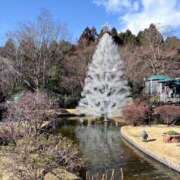 ヒメ日記 2025/12/30 16:01 投稿 キキ 水戸角海老