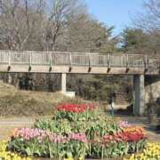 ヒメ日記 2026/01/25 12:01 投稿 キキ 水戸角海老