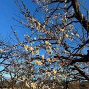 ヒメ日記 2026/02/10 14:41 投稿 キキ 水戸角海老