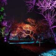 ヒメ日記 2026/02/15 15:02 投稿 キキ 水戸角海老