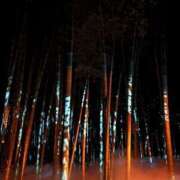 ヒメ日記 2026/02/16 09:01 投稿 キキ 水戸角海老