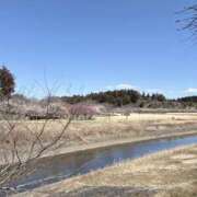 ヒメ日記 2026/03/08 12:51 投稿 キキ 水戸角海老