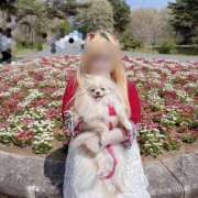 ヒメ日記 2026/04/13 12:31 投稿 キキ 水戸角海老