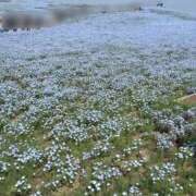 ヒメ日記 2026/04/25 09:01 投稿 キキ 水戸角海老