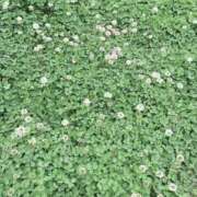 ヒメ日記 2026/05/03 12:41 投稿 キキ 水戸角海老