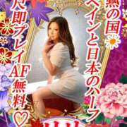 ヒメ日記 2026/08/23 03:01 投稿 理紗(りさ) 高知デリヘル倶楽部 人妻熟女専門店