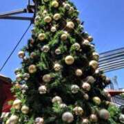 ヒメ日記 2024/12/13 12:02 投稿 白星きずな 大人めシンデレラ 新横浜店（シンデレラグループ）