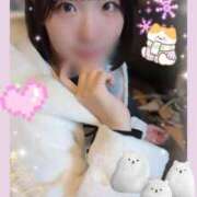 ヒメ日記 2024/12/19 17:27 投稿 白星きずな 大人めシンデレラ 新横浜店（シンデレラグループ）