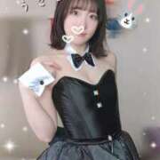 ヒメ日記 2025/04/08 07:30 投稿 白星きずな 大人めシンデレラ 新横浜店（シンデレラグループ）