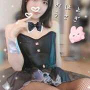 ヒメ日記 2025/04/09 07:30 投稿 白星きずな 大人めシンデレラ 新横浜店（シンデレラグループ）