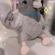 ヒメ日記 2025/04/12 23:22 投稿 白星きずな 大人めシンデレラ 新横浜店（シンデレラグループ）