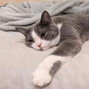 ヒメ日記 2025/07/15 08:58 投稿 白星きずな 大人めシンデレラ 新横浜店（シンデレラグループ）