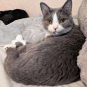 ヒメ日記 2025/07/16 09:04 投稿 白星きずな 大人めシンデレラ 新横浜店（シンデレラグループ）