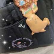 ヒメ日記 2025/09/04 20:35 投稿 白星きずな 大人めシンデレラ 新横浜店（シンデレラグループ）