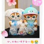 ヒメ日記 2026/03/24 18:14 投稿 白星きずな 大人めシンデレラ 新横浜店（シンデレラグループ）