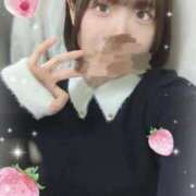 ヒメ日記 2026/03/26 16:11 投稿 白星きずな 大人めシンデレラ 新横浜店（シンデレラグループ）