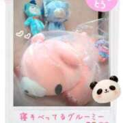 ヒメ日記 2026/08/14 21:03 投稿 白星きずな 大人めシンデレラ 新横浜店（シンデレラグループ）