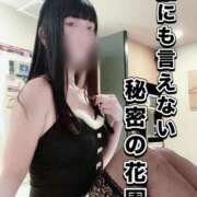 ヒメ日記 2025/05/09 12:30 投稿 縫(ぬい) 黒薔薇