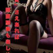 ヒメ日記 2025/10/10 12:15 投稿 縫(ぬい) 黒薔薇