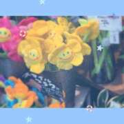 ヒメ日記 2025/07/03 19:05 投稿 みずほ 熟女家 ミナミエリア店