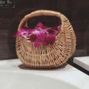 ヒメ日記 2025/02/17 22:51 投稿 なみか 渋谷蘭の会