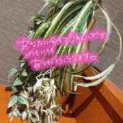 ヒメ日記 2025/05/25 12:21 投稿 なみか 渋谷蘭の会