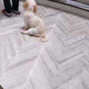 ヒメ日記 2025/10/13 16:25 投稿 なみか 渋谷蘭の会