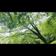 ヒメ日記 2025/10/19 10:35 投稿 なみか 渋谷蘭の会