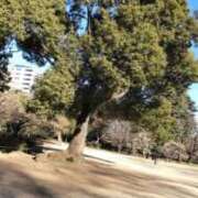 ヒメ日記 2025/11/12 04:35 投稿 なみか 渋谷蘭の会