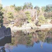 ヒメ日記 2026/01/06 11:45 投稿 なみか 渋谷蘭の会