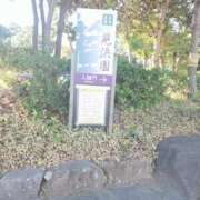 ヒメ日記 2026/01/16 06:25 投稿 なみか 渋谷蘭の会