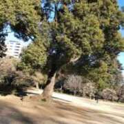 ヒメ日記 2026/01/25 11:25 投稿 なみか 渋谷蘭の会