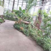 ヒメ日記 2026/02/20 21:38 投稿 なみか 渋谷蘭の会