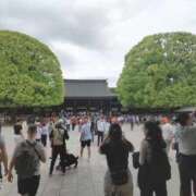 ヒメ日記 2026/05/08 12:25 投稿 なみか 渋谷蘭の会